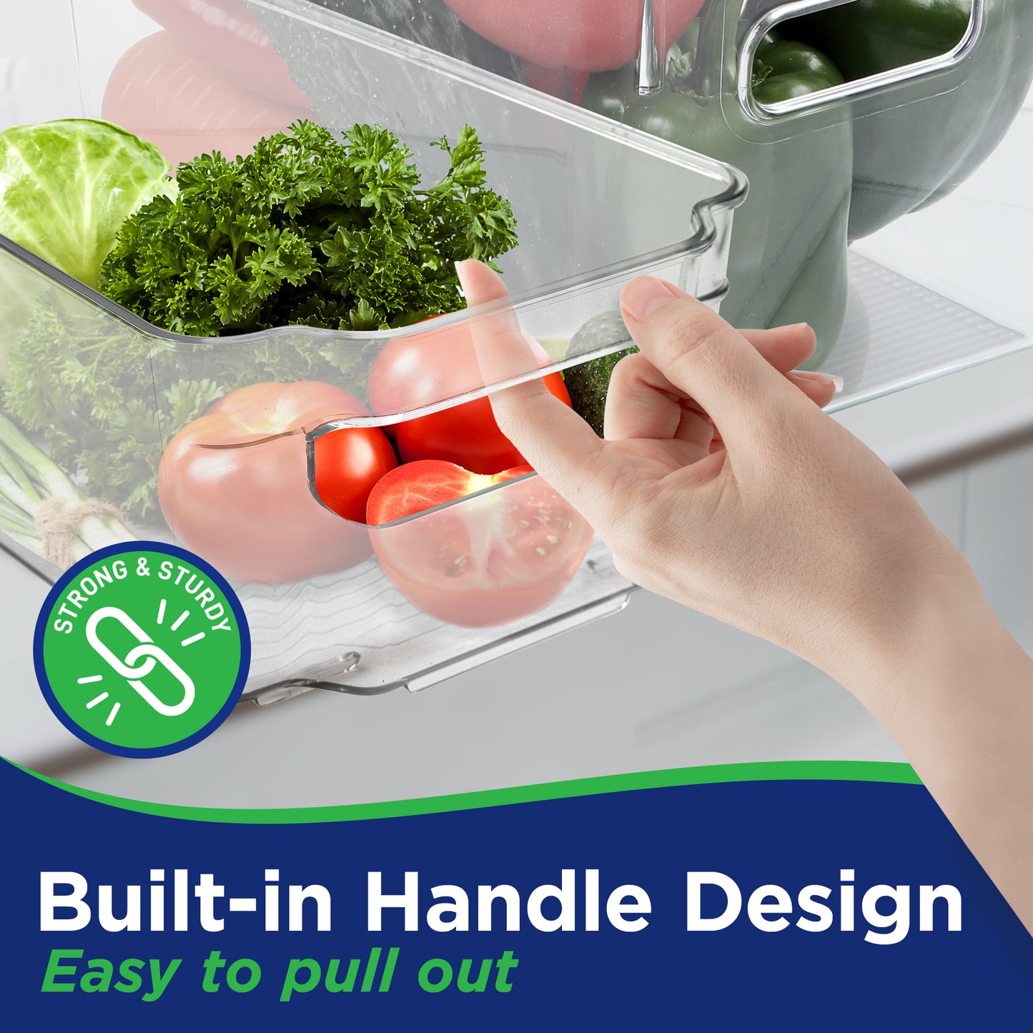 LifeMaster Stackable Clear Fridge Bins – Life Master